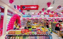 AVAKids cam kết tài trợ thêm 550 ca phẫu thuật dị tật hàm mặt cho trẻ em Việt Nam trong 5 năm tới