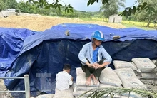 Để hơn 200 tấn xi măng hư hỏng, chủ tịch xã bị bắt