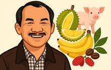 10 giây hé lộ toàn cảnh cơ ngơi "4 cây 1 con" hàng nghìn hecta của Bầu Đức