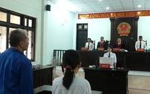 Lừa đảo "giấc mơ Mỹ" bằng chiêu trò thẻ xanh EB3, 1 Việt kiều lãnh án