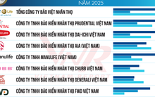 Top 10 Công ty Bảo hiểm nhân thọ uy tín năm 2025: Bảo Việt Nhân Thọ tiếp tục đứng đầu, Manulife vươn lên vị trí thứ 5