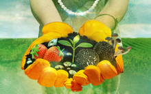 Trả 78 triệu đồng/đêm để về quê hái rau, vắt sữa bò, trải nghiệm nông thôn đang trở thành xa xỉ phẩm đem ra kinh doanh, khách nườn nượp xếp hàng vì ‘đáng đồng tiền bát gạo’