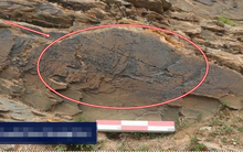 Manh mối bất ngờ về thuốc trường sinh của Tần Thủy Hoàng: Thứ để lại khiến chuyên gia tranh cãi kịch liệt