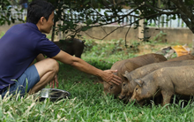 Nhà hàng đầu tiên tại Hà Nội giành Michelin Green Star: Chỉ phục vụ buổi tối, kèm yêu cầu đặt chỗ trước