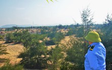 Vụ “xẻ thịt” rừng ven biển làm nghĩa địa ở Quảng Bình: Chính quyền vào cuộc (!)