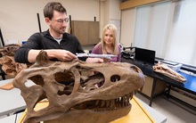 "Hoàng tử rồng Mông Cổ" 86 triệu tuổi lộ diện giữa sa mạc