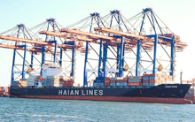 Vận tải và Xếp dỡ Hải An đặt mục tiêu doanh thu 4.556 tỷ đồng trong năm 2025