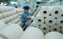 Lãnh đạo Sợi Thế Kỷ bán toàn bộ gần 6,9 triệu cổ phiếu STK đang nắm giữ