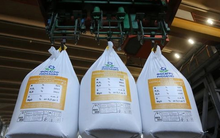 Hàng trăm nghìn tấn hàng của Việt Nam vừa đổ bộ Campuchia: Được mệnh danh cứu tinh của nông sản, nước ta tiêu thụ hàng chục triệu tấn mỗi năm