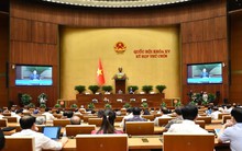 Ngày 14/6, Quốc hội biểu quyết thông qua Luật Thuế tiêu thụ đặc biệt (sửa đổi)