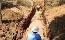 Đang làm ruộng, lão nông bất ngờ phát hiện khúc gỗ trị giá 600 tỷ đồng