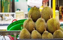 Sau sầu riêng, thêm một mặt hàng của Campuchia 'đối đầu' Việt Nam ở Trung Quốc: Nước ta là nguồn cung lớn nhất, chiếm đến 97% thị phần