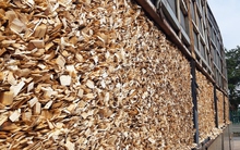 Mỹ đổ hơn 3 tỷ USD săn 'cây kim tiền' của Việt Nam: thuế nhập khẩu 0%, nền kinh tế số 1 thế giới là khách VIP của nước ta