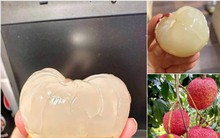 Loạn giá vải trứng Hưng Yên: Nơi 240.000 đồng/kg, nơi chỉ 45.000 đồng/kg, chuyện gì đây?