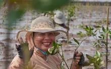 Biến đổi khí hậu khiến Việt Nam thâm hụt 3,6 tỷ USD