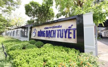 Sự hồi sinh mạnh mẽ của “tượng đài” bông y tế Việt