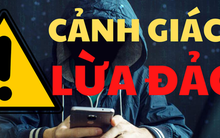 Bị lừa đảo hơn 434 tỉ đồng, nữ chủ doanh nghiệp tố giác gì đến công an?