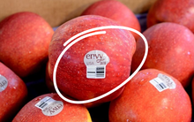 Dãy số "lạ" trên tem trái cây nhập khẩu: Rất dễ hiểu nhưng 90% người chẳng hiểu gì