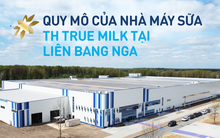 Những con số làm nên quy mô của nhà máy sữa hàng đầu tại Nga của TH true MILK