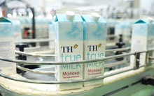 Dự án chăn nuôi và chế biến sữa tươi sạch của TH tại “vựa sữa” Kaluga của Liên bang Nga