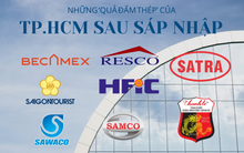 Hơn 20 'quả đấm thép' tài sản 180.000 tỷ của UBND Tp.HCM sau sáp nhập: Lĩnh vực nào là 'vua'?