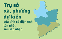 Chi tiết trụ sở xã, phường của tỉnh có diện tích lớn nhất sau sáp nhập