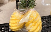 Mua dứa thấy 3 dấu hiệu này, giá rẻ cỡ nào cũng đừng dại rước về nhà