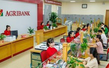 Agribank thông báo: Trường hợp khách hàng không thể cập nhật CCCD, sinh trắc học qua App hoặc VneID, bắt buộc phải tới ngân hàng