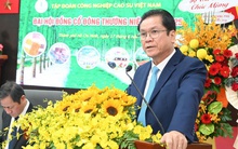 VRG sẽ đầu tư thêm 70.000 ha cao su tại Lào, Campuchia