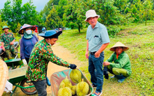 Bầu Đức tuyển gấp 100 kỹ thuật viên sầu riêng, thưởng 700.000 đồng cho ai giới thiệu ứng viên, không giới hạn số lần