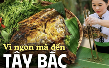 Ăn cá nướng giữa mùa hè oi bức nghe có vẻ nghịch lý? Nhưng với "pa pỉnh tộp", người Tây Bắc có lý do riêng!