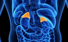 1 cơ quan 'nắm vận mệnh' cơ thể, nhiều người Việt dùng như 'phá' vì mắc 2 thói quen này