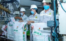 “Đại gia” phân bón Đạm Cà Mau (DCM) sắp chi nghìn tỷ chia cổ tức