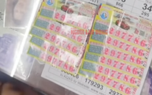 Một phụ nữ bán cơm ở Long An trúng 11 tờ vé số độc đắc