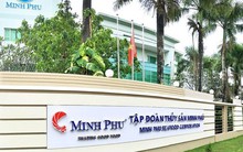 Thủy sản Minh Phú kỳ vọng có lãi trở lại trong năm 2025, con gái Chủ tịch được đề cử vào HĐQT