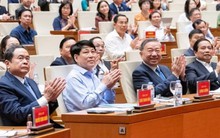 'Bộ tứ trụ cột' là gì?