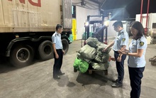 Khám một kho hàng đông lạnh ở Quảng Ninh, phát hiện "bí mật" đáng sợ bên trong