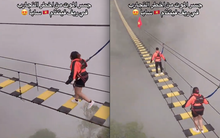 "Cầu tử thần" ngay giữa Việt Nam hút khách nước ngoài trải nghiệm, nhiều người Việt sợ hãi không dám thử