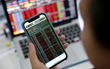 Loạt cổ phiếu vừa nhận 'án' rời sàn