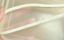 Dùng hộp nhựa, hộp thủy tinh đựng thực phẩm, khi rửa đừng quên bộ phận này: Nhiều người dùng giờ mới biết