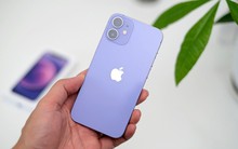 Một màu sắc sang chảnh của iPhone sẽ được Apple "hồi sinh" trên iPhone 17?