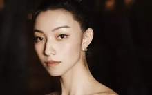 Nữ diễn viên khiến Ngô Kinh và Lý Liên Kiệt điêu đứng