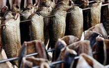 Loại cá 'rẻ bèo' bán đầy chợ Việt nhận tin vui lớn từ Mỹ: 7 doanh nghiệp hưởng thuế 0% - giàu protein không kém cá hồi