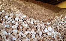 'Vàng trắng' dưới lòng đất của Việt Nam được Trung Quốc săn lùng bất kỳ giá nào, xuất khẩu tăng hơn 300%