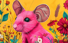 Tháng 6 Âm lịch, 3 con giáp may mắn nhất được Thần tài gõ cửa, tài lộc trúng lớn, xoay chuyển vận mệnh