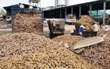 Hàng chục nghìn tấn hàng ùn ứ ở cửa khẩu: Bộ trưởng Thái Lan vừa nhấn mạnh điều gì?