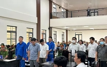 Tuyên án cựu Giám đốc Ban quản lý dự án tỉnh An Giang