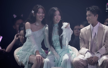 Trấn Thành công bố “cây hút fan” của Em Xinh bị loại khi Live Stage 2 chưa diễn, netizen tuyên bố nghỉ xem!