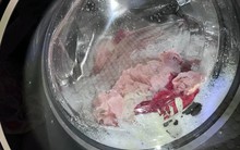 7 lỗi sai khi dùng máy giặt: Càng giặt quần áo càng bẩn, bốc mùi hôi