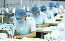 Nghỉ phép có được tính lương, trường hợp nào nghỉ làm vẫn hưởng lương?